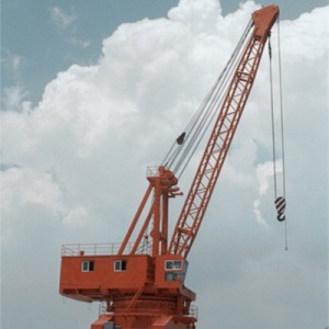 10T-33M Kangroo Portal Crane
