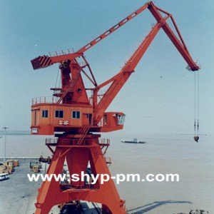 10T-33M Kangroo Portal Crane