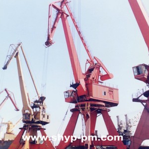 10T-33M Kangroo Portal Crane